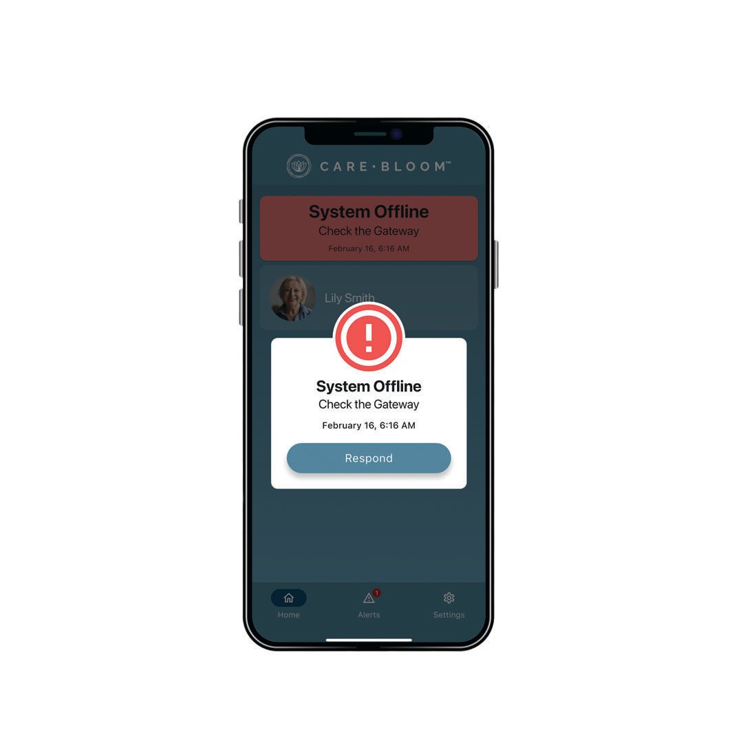 System Offline_Transparent phone